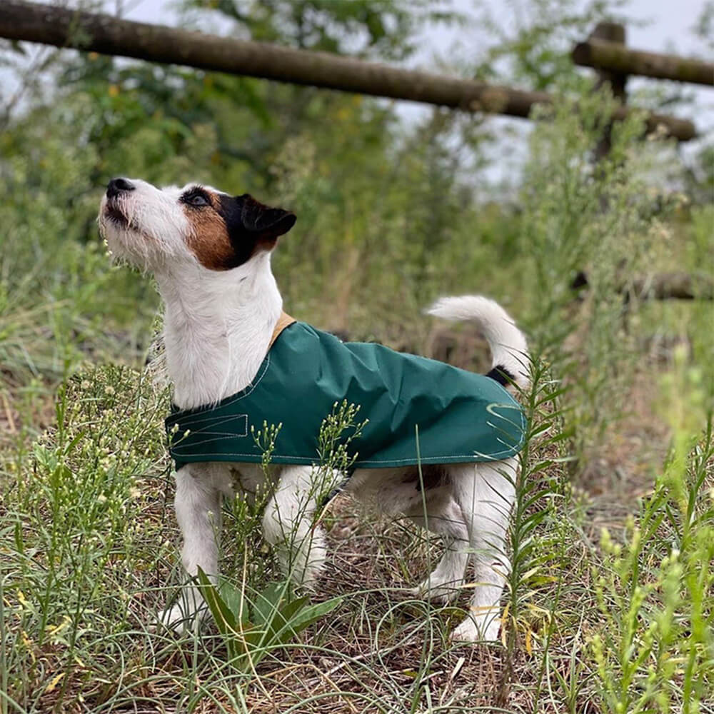 Stylish Lightweight Waterproof Velcro Outdoor Dog Raincoat