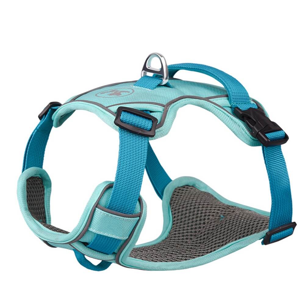 Contrast Color Explosion-Proof Dog Leash and Reflective Vest Harness