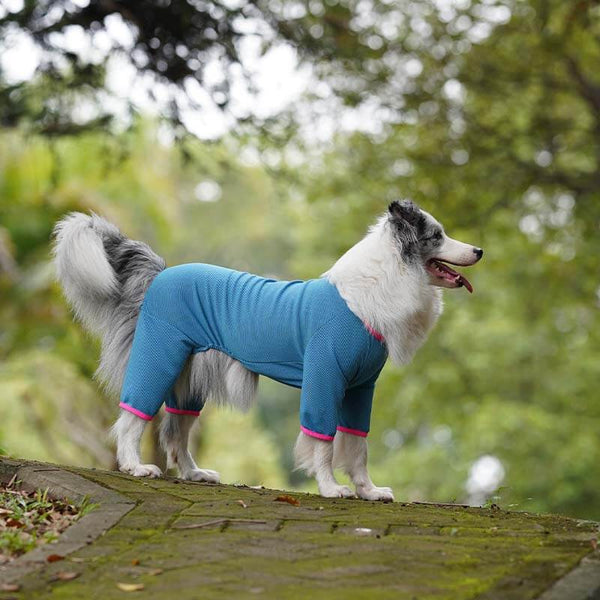 Camisas de perros de cuatro patas rápidas de cuatro patas chaleco de enfriamiento de perros