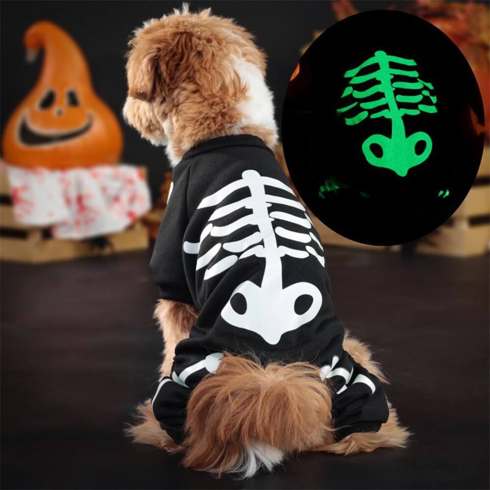 Glow-in-the-Dark Skeleton Dog Costume – Perfect for Halloween Night