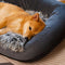 Gran lavable y esponjoso acogedor bolster sofá sofá cama vaquero