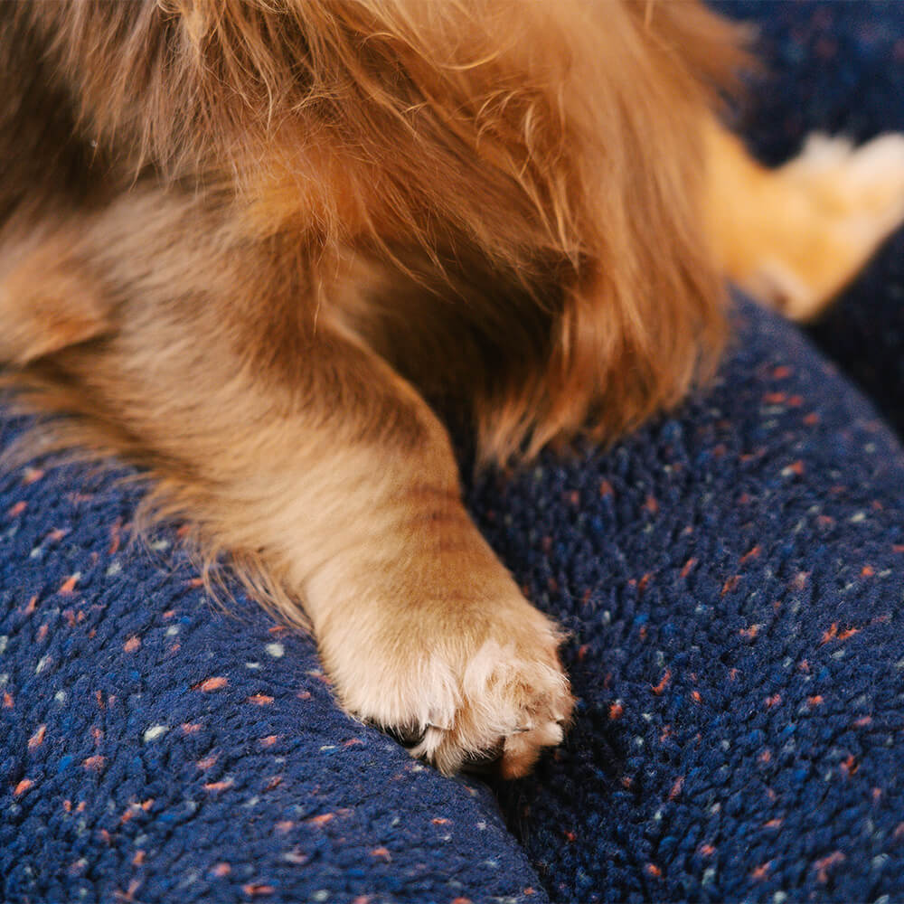 Große, waschbare, cremige, gemütliche, flache Hundebetten – Käsekuchen