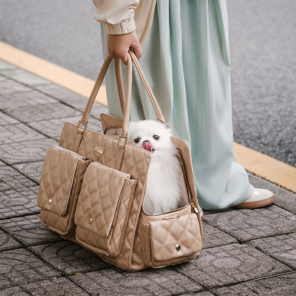 Large Carrying Stylish Multi-Functional Human-Dog Shared Travel Pet Bag - Wandering Tail