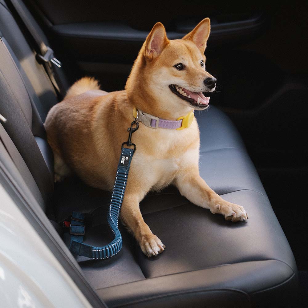 Buffer ajustable Cool Dog Accesorios cinturón de seguridad de coche