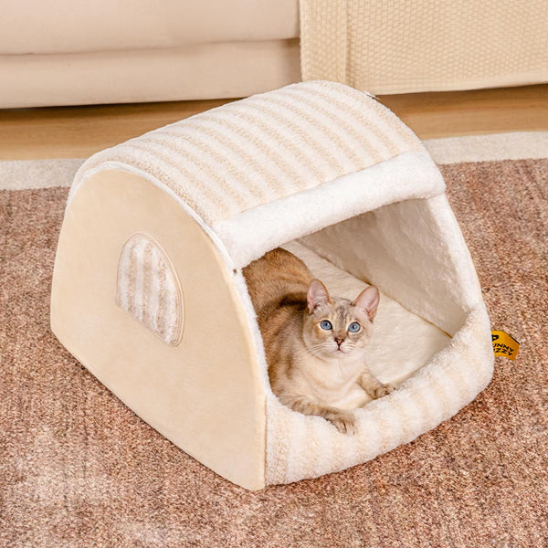 CATTO CATTO COZIE STRUED - RITORETTO COMPETTO