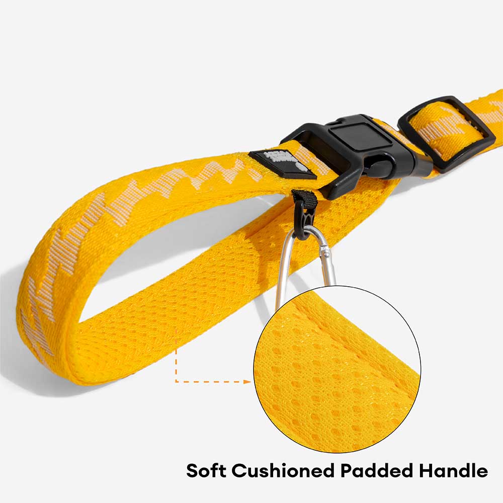 Dual-sided Reflective Adjustable Versatile Soft Handle Nylon Large Dog Leashes - Flexi Walker