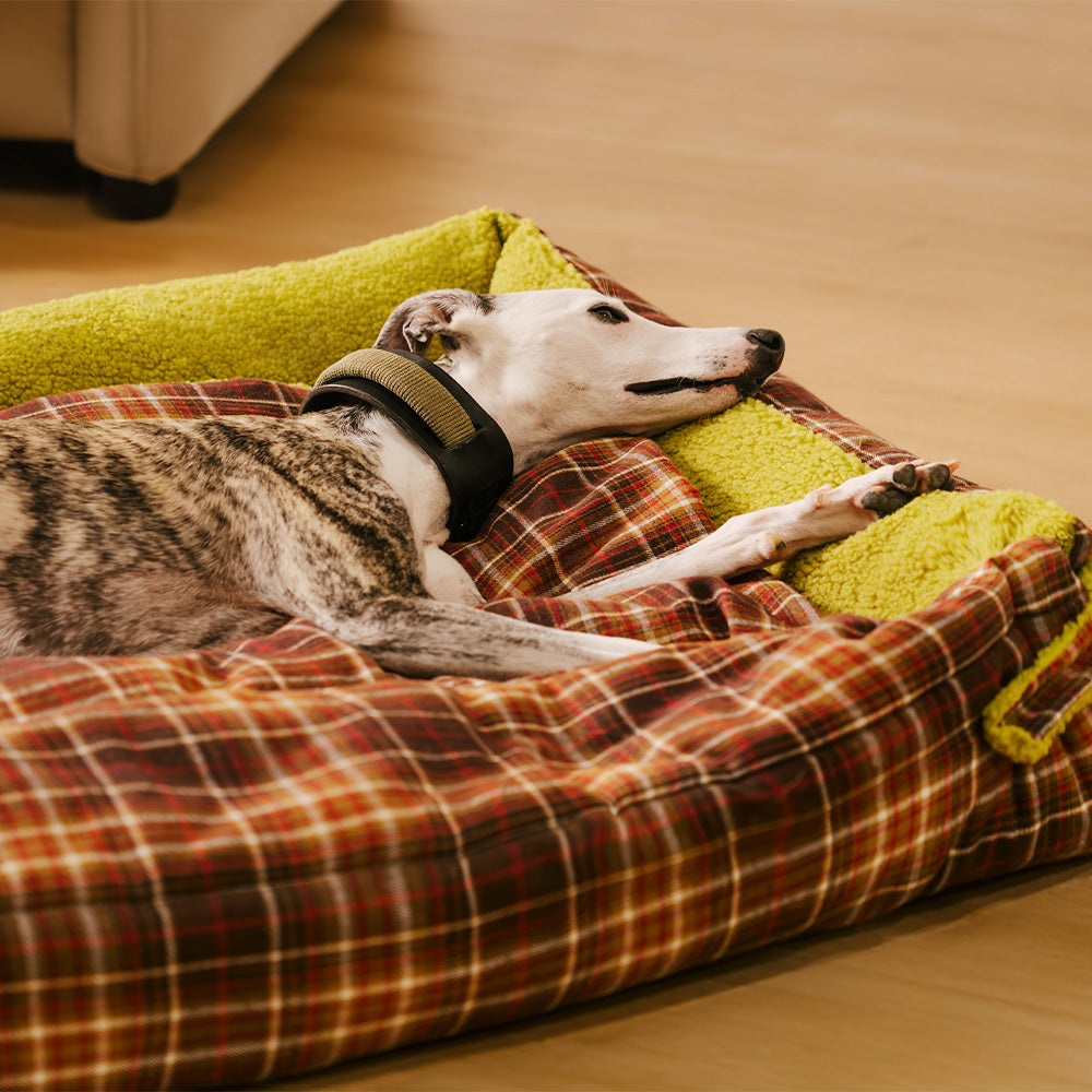 Cama plegable para perros con manta y diseño vintage de tartán lavable - Avocuddle