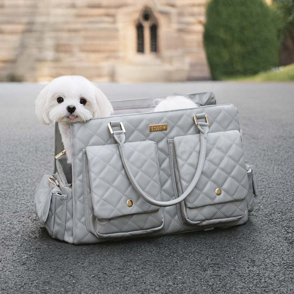 Grand sac de transport élégant et multifonctionnel pour animaux de compagnie, voyage partagé homme-chien - Queue errante