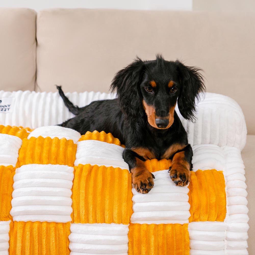 Copertura protettiva per mobili per tappetino per cani, scozzese, color crema, quadrata