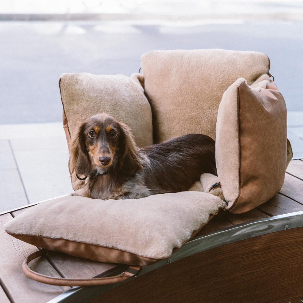 Grand siège d'auto rehausseur de transport pour chien, moelleux, chaud et sûr, antidérapant, Ride et Rover