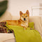 Camas de perros de la manta plegable de tartán vintage grande lavable - Avocuddle
