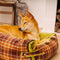 Camas de perros de la manta plegable de tartán vintage grande lavable - Avocuddle