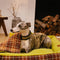 Camas de perros de la manta plegable de tartán vintage grande lavable - Avocuddle
