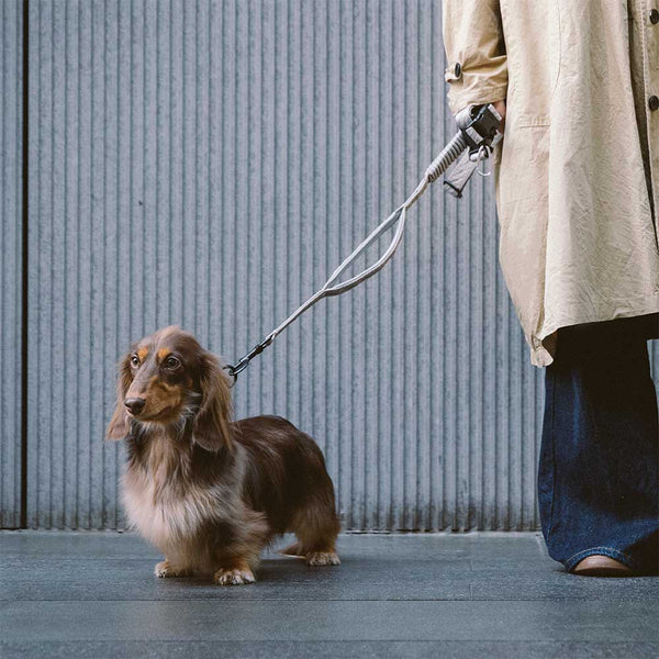 Correo de perros de nylon de mango suave versátil de doble lado de doble cara - Caminador flexible