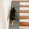 Modular Foam Dog Ramp Stairs for Staircase Stairs with Velcro
