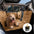 Dormitorio móvil Extensor de asiento de asiento trasero de cobertura completa de Bedroom Mobile - Ideal para viajar y acampar
