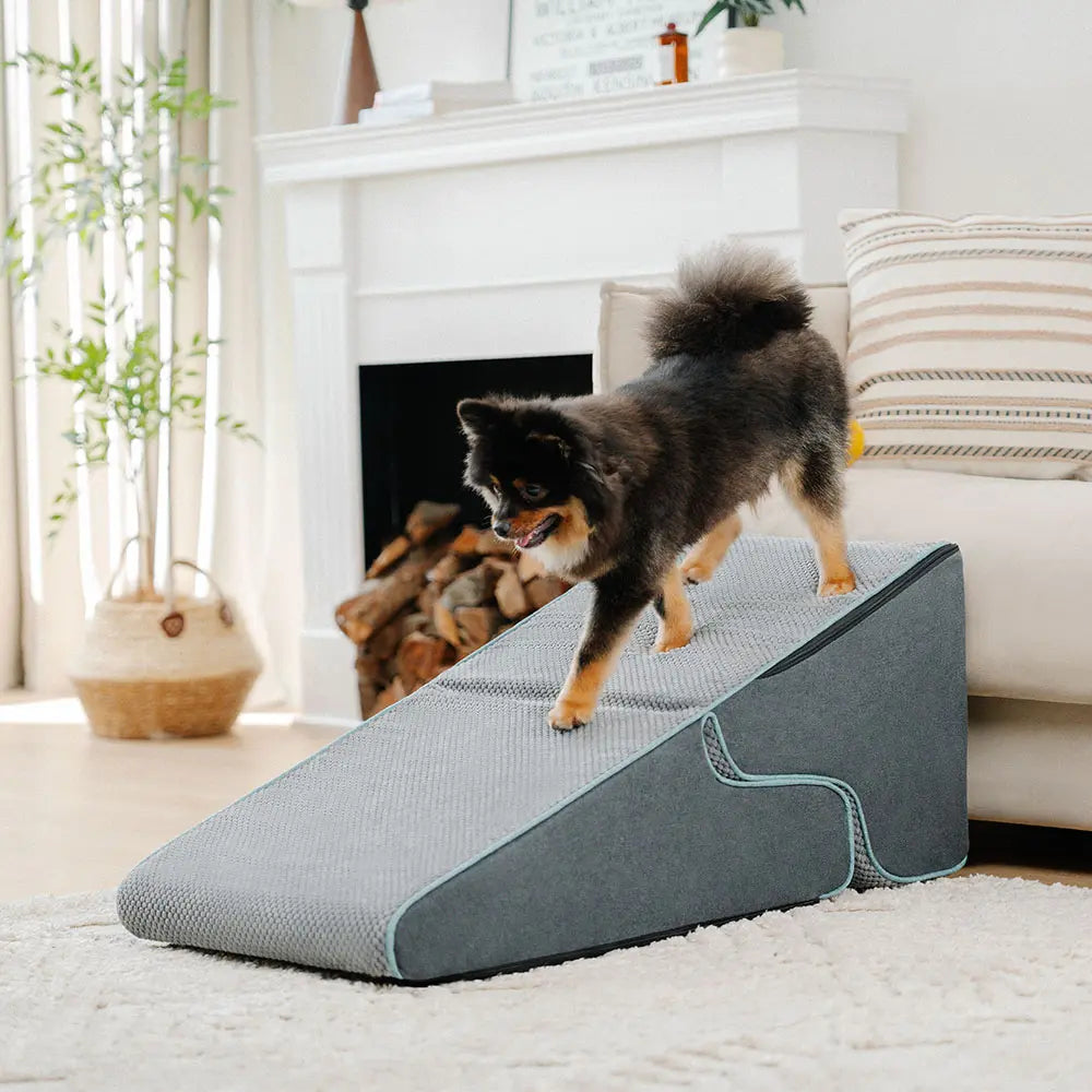 Escaleras de perro plegables 2-en-1 plegables con modo rampa