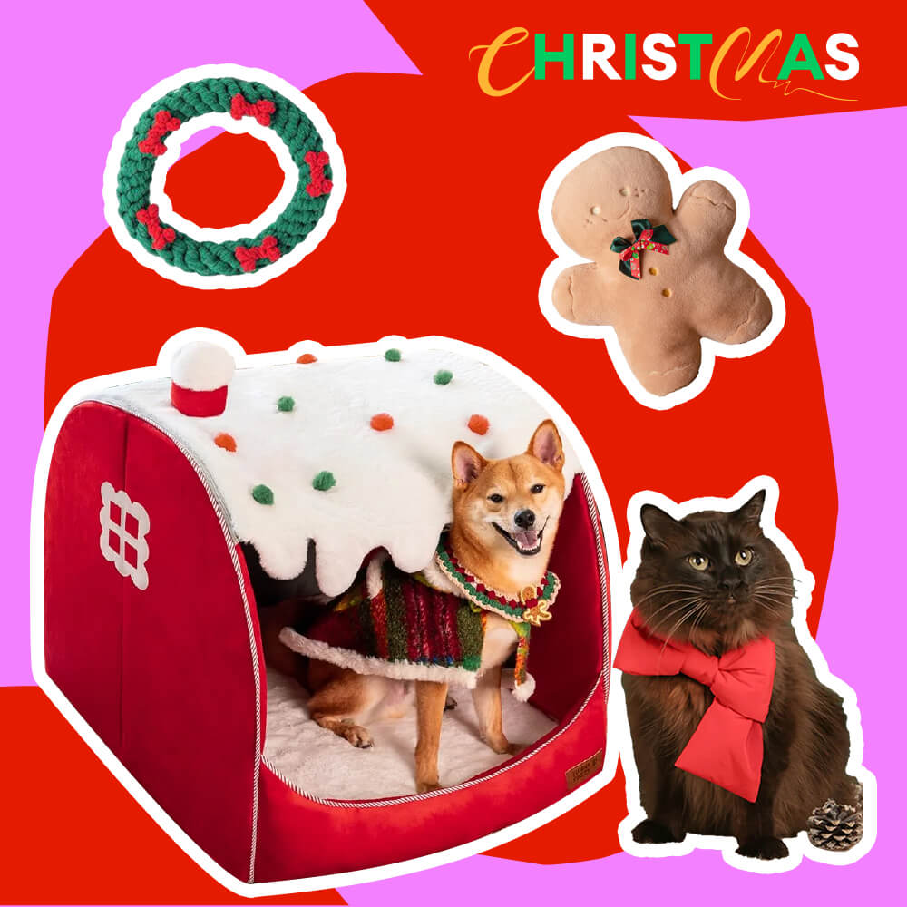 Lit pour animal de compagnie Snow House - Coffret cadeau 4 pièces