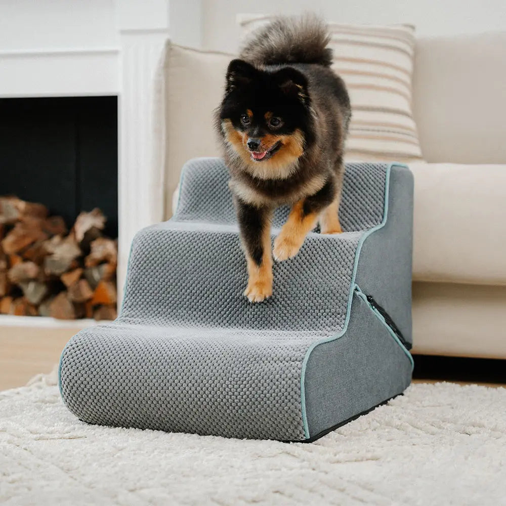 Escaleras de perro plegables 2-en-1 plegables con modo rampa