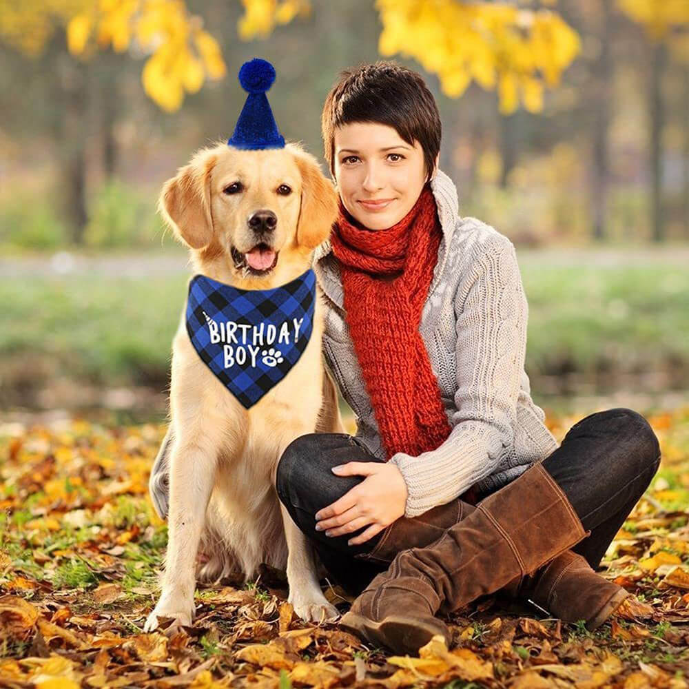 Set de fiesta de cumpleaños para perro, niño y niña, bandana y sombrero de cuadros azules con pegatinas numéricas