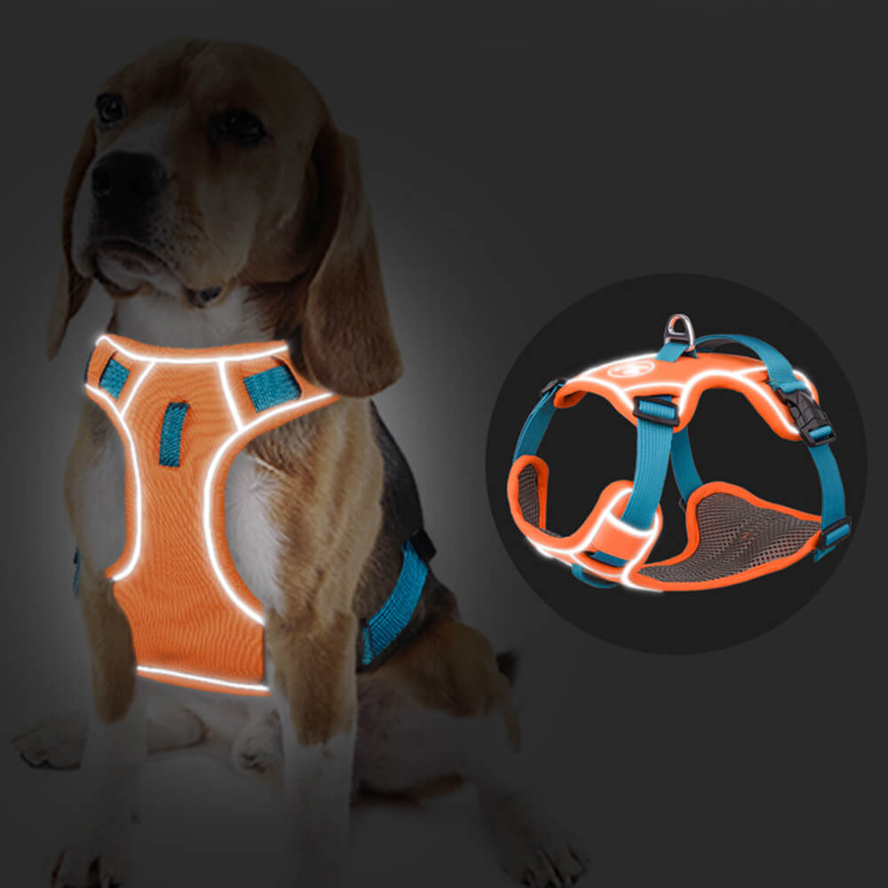 Contrast Color Explosion-Proof Dog Leash and Reflective Vest Harness