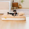 Comfy Plush Biscuit-Inspired Orthopedic Dog Bed with Pillow – SweetNap