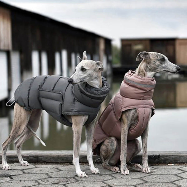 Chaleco tibio impermeable y a prueba de viento: lo último en la calidez y el estilo de invierno