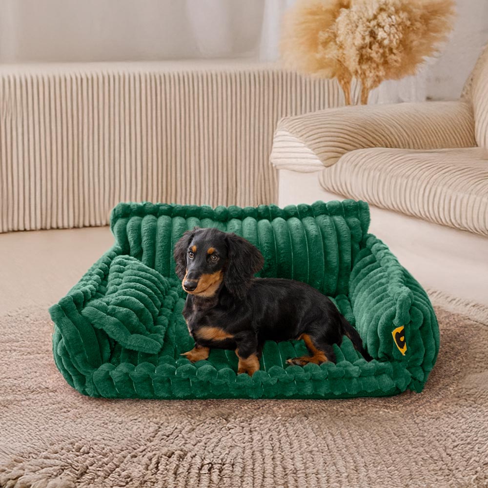 Grande cuscino lavabile per cani, morbido ortopedico, soffice divano letto per cani: sogno snoozy