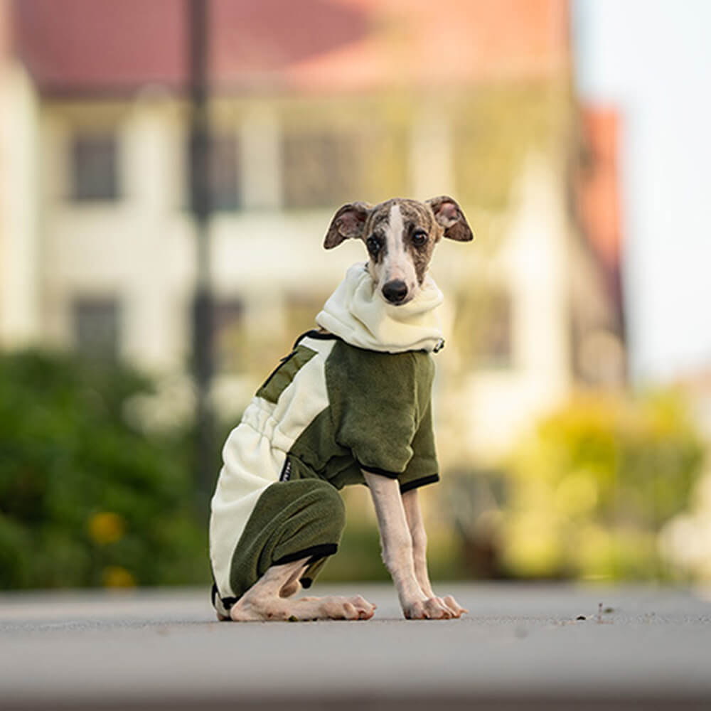 Combinaison pour chien en polaire à couverture complète avec collier amovible