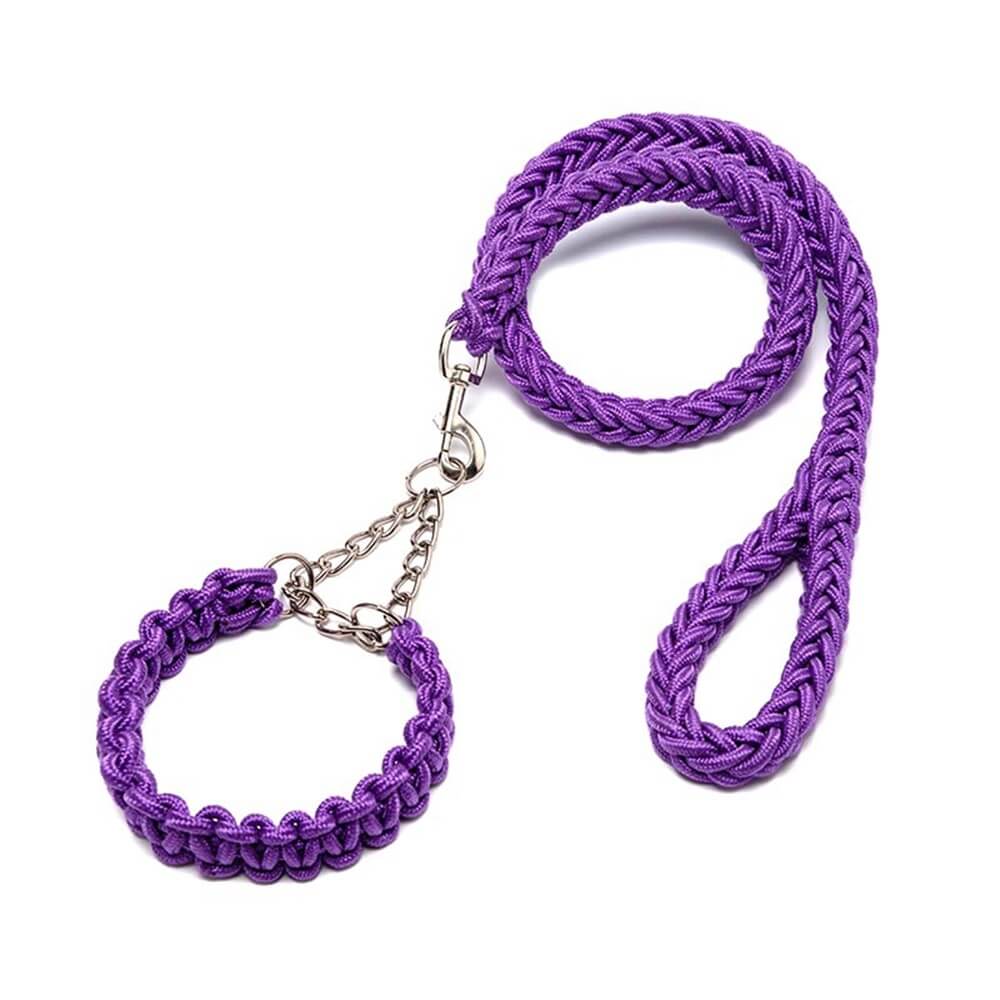 Explosion-Proof Nylon Braided Dog Leash and Collar