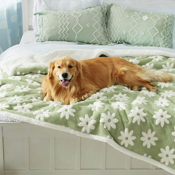 Cloud Flocked Water Water-Funcional Sherpa Dog Manket