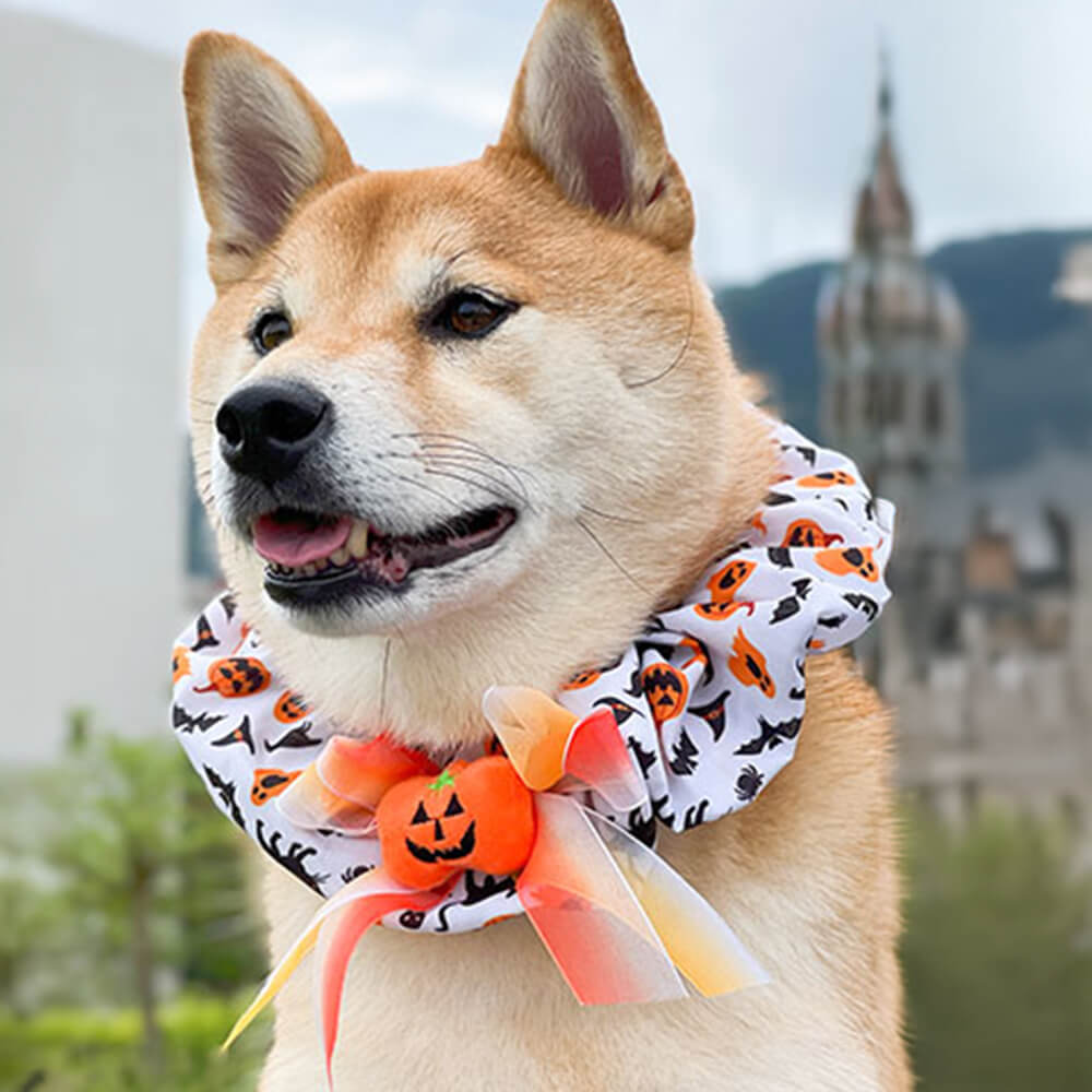 Pañuelo lindo del perro de Halloween con volantes de calabaza Pañuelo