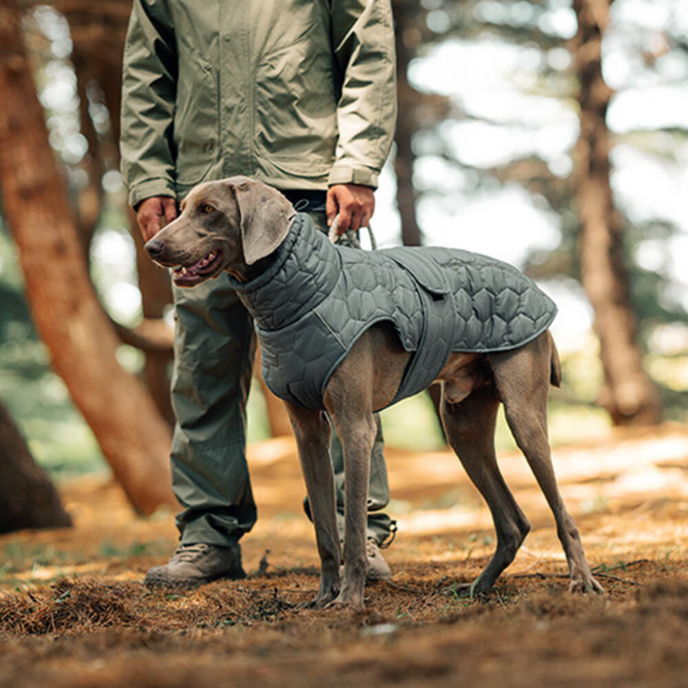 Gilet d'extérieur matelassé pour chien – Chaud et durable pour la randonnée et les aventures