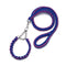 Explosion-Proof Nylon Braided Dog Leash and Collar