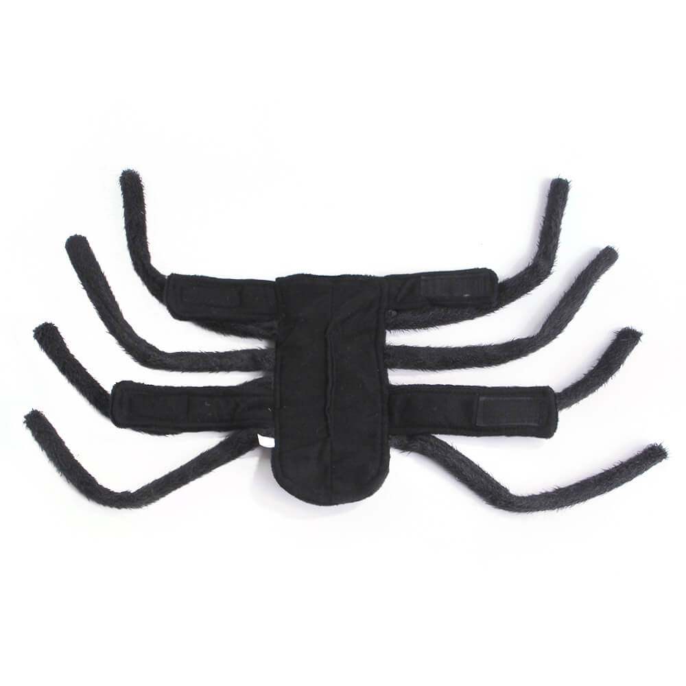 Funny Spider Halloween Pet Toy  Dog and Cats Costume