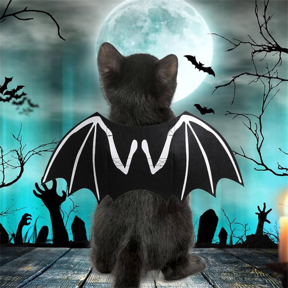 Costume d'Halloween pour chien avec ailes de chauve-souris et crâne lumineux | Accessoires de jeu de rôle pour animaux de compagnie