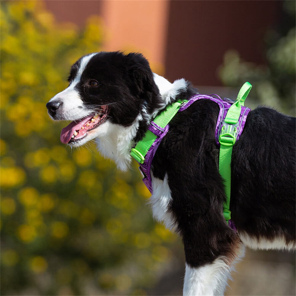 Arnés reflectante para perros a prueba de explosiones de camuflaje con luz de navegación