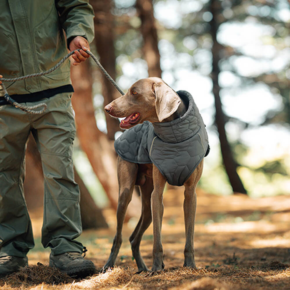 Gilet d'extérieur matelassé pour chien – Chaud et durable pour la randonnée et les aventures