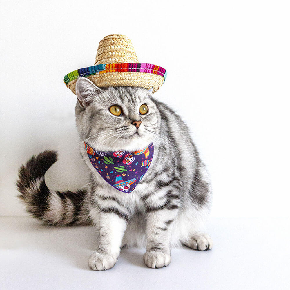 Set de disfraz de gato Fiesta - Sombrero y pañuelo para gatos y perros pequeños