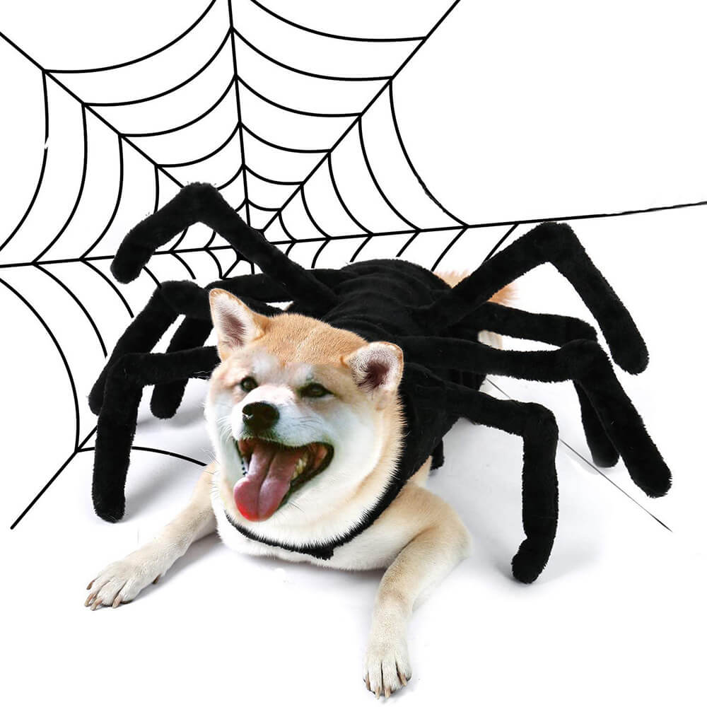 Funny Spider Halloween Pet Toy  Dog and Cats Costume