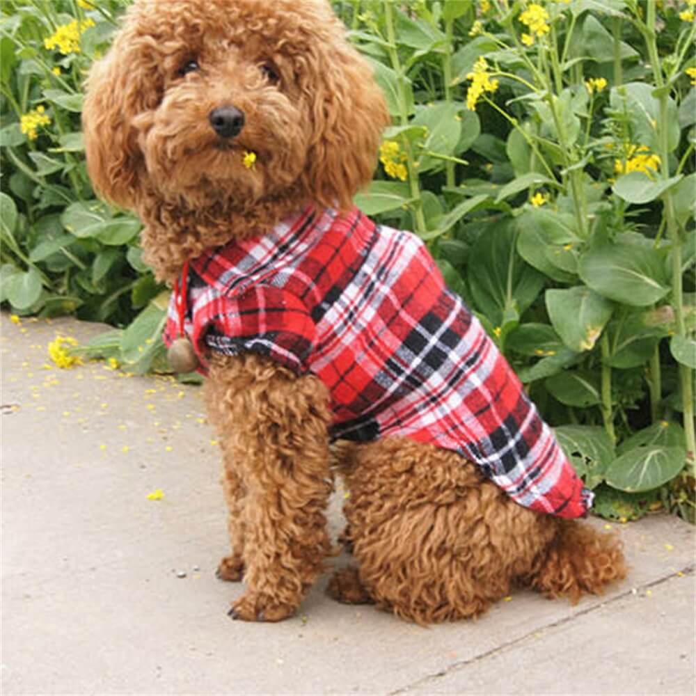 Chemise classique à carreaux pour chien – Confortable et élégante pour toutes les occasions.