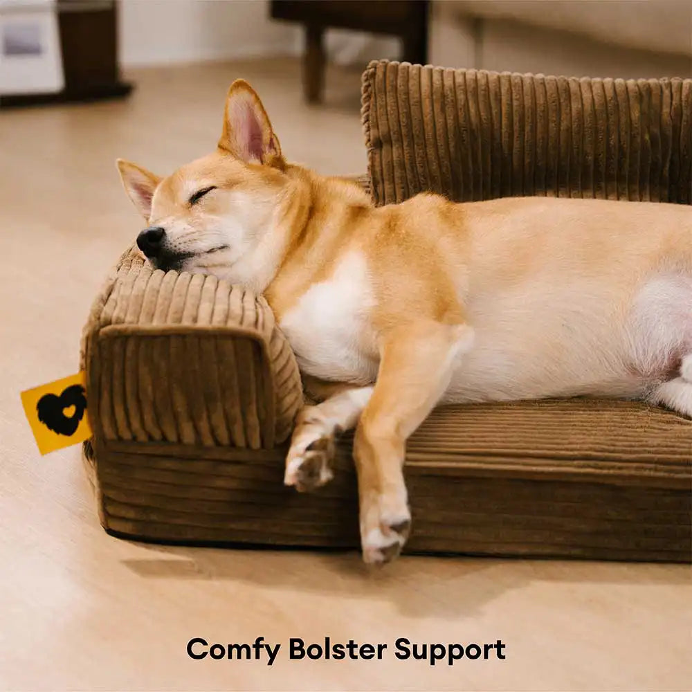 Corduroy Anti-Scratch Removable Orthopedic Dog Bed with Pillow - ComfySofa
