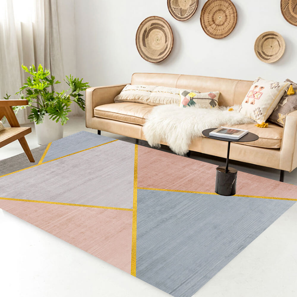 Minimalist Modern Door Mat Living Room Pet Carpet