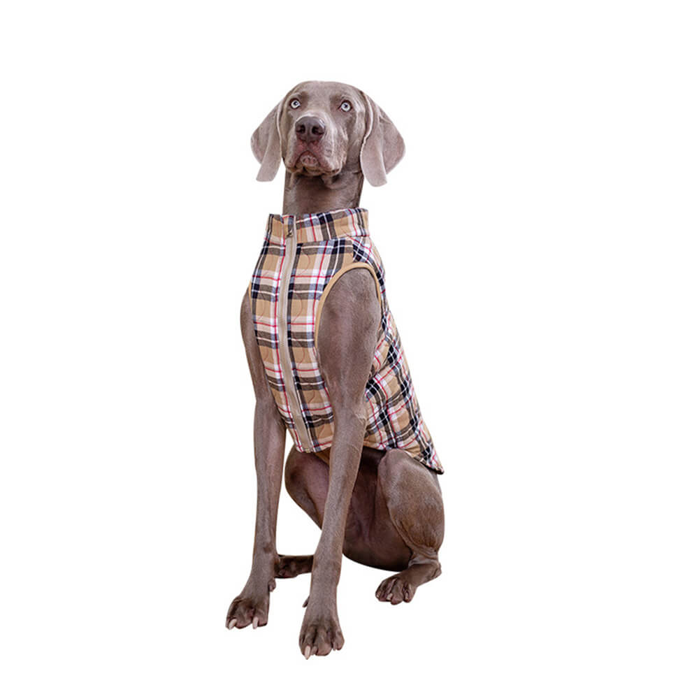 Veste rembourrée pour chien à carreaux de style britannique avec anneau en D