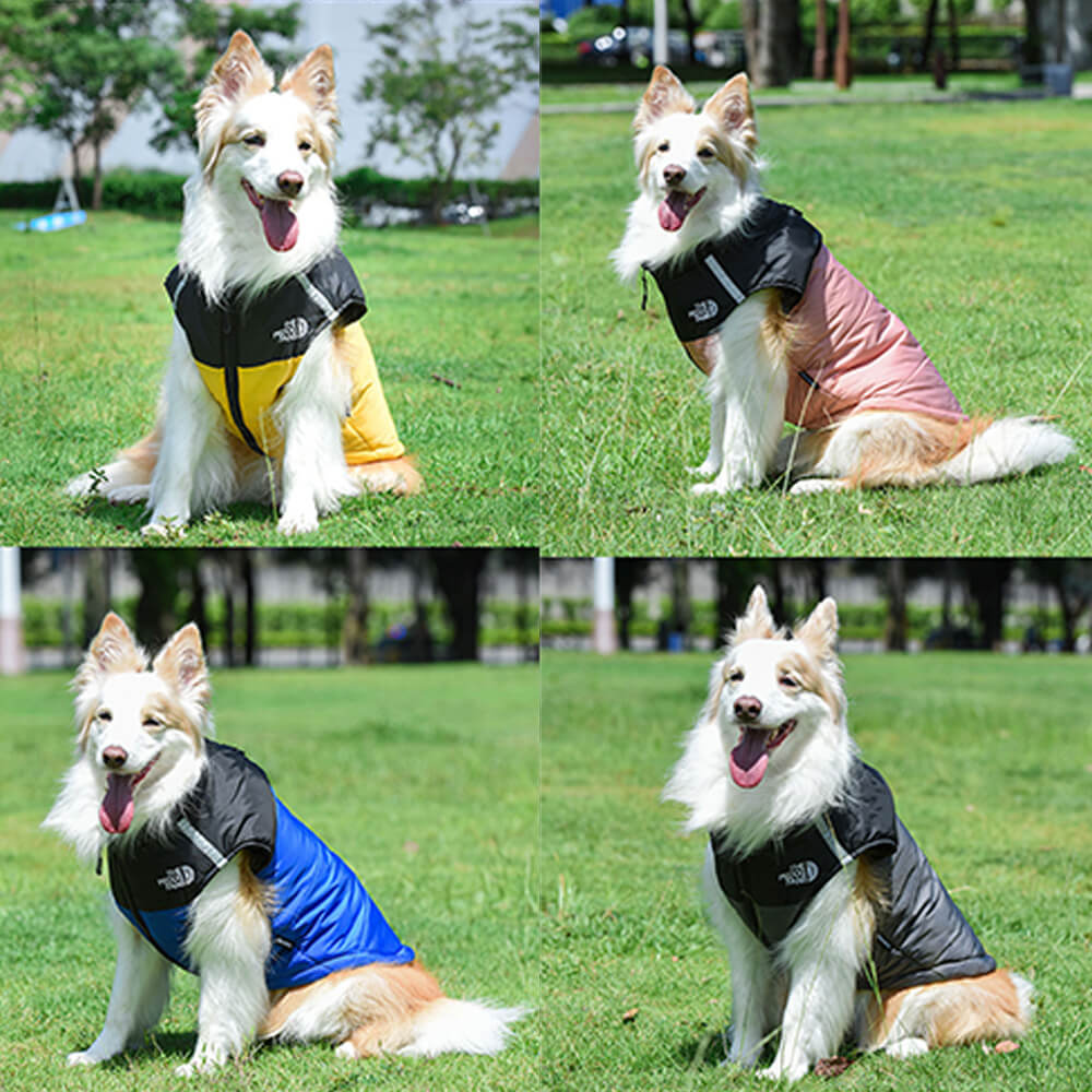 Waterproof and Windproof Dog Vest - Outdoor Adventure Jacket in 4 Colors