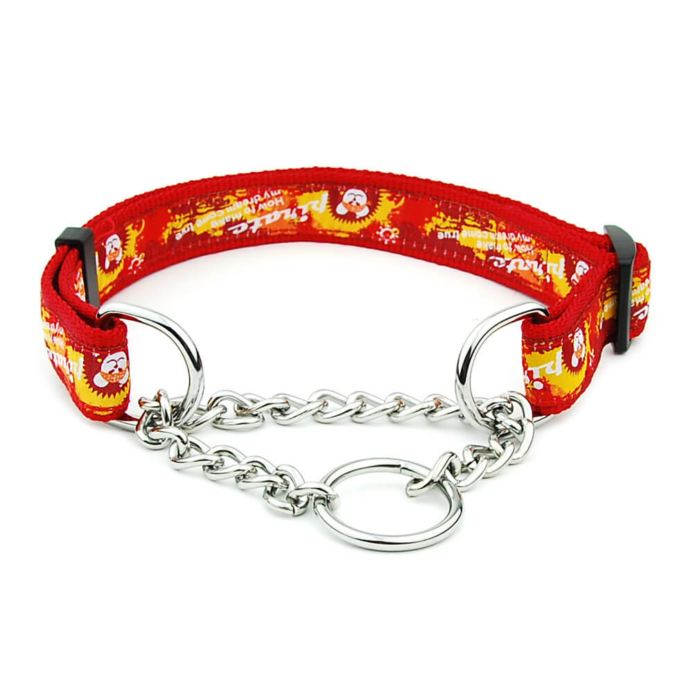 Mehrfarbiges Nylon-Hundehalsband mit Schiebekette