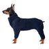 Traje de perros de vellón: calidez acogedora y de cuerpo completo para el clima frío