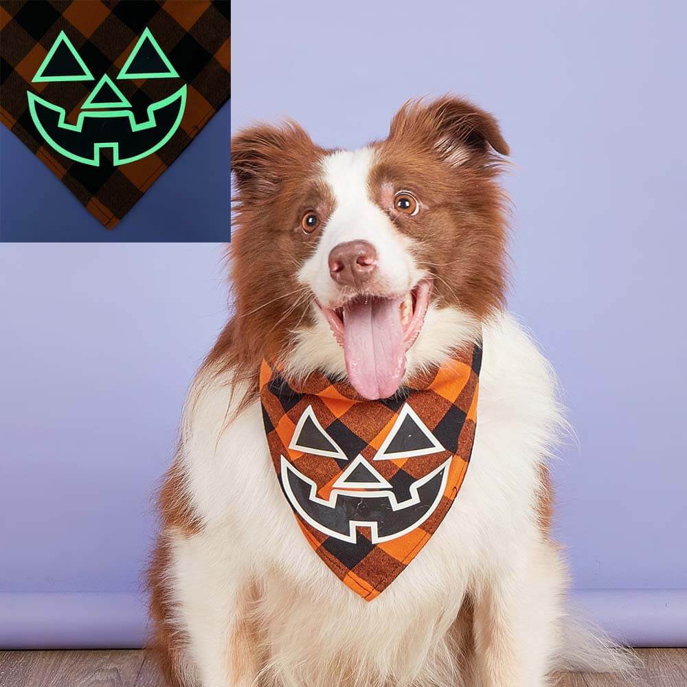 Bufanda luminosa triangular con calavera de calabaza para mascotas | Babero para perros festivo y brillante