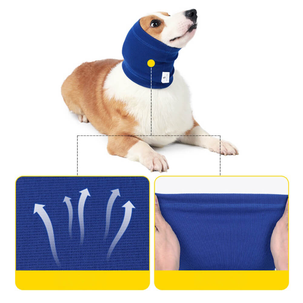 Bandeau apaisant pour chien Pet Products