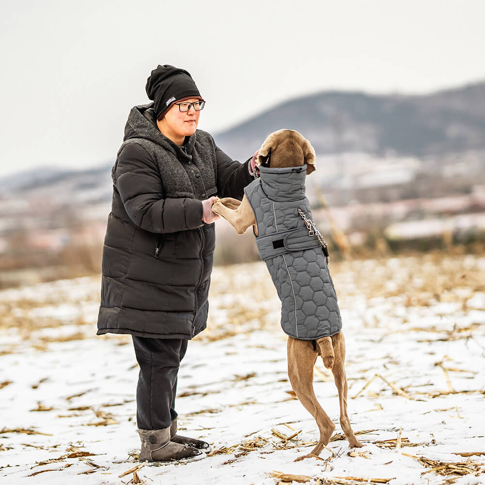 Gesteppte Outdoor-Hundeweste – warm und langlebig für Wanderungen und Abenteuer